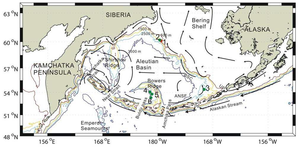 Schematic bathymetry of the Bering Sea, and locations of cores of the present and selected earlier studies. Arrows represent the direction of the major surface currents. ANSF Aleutian North Slope Current, AP Amutka Pass, BSC Bering Slope Current, UP Unimak Pass. Cores 1 PC23A (this study), 2 HLY02-02-3JPC (60°07.7N, 180°33.5E, 1,132 m, Cook et al., 2005), 3 UMK-3A (54°25.2N, 170°13.4E, 1,892 m, Okazaki et al., 2005), 4 BOW-9A (54°02.2N, 178°40.6E, 2,391 m, Okazaki et al., 2005), 5 JPC-17 (53°56.0’ N, 178°41.9E, 2,209 m, Brunelle et al., 2007), 6 GC-11 (53°31.0N, 178°51.0E, 3,600 m, Gorbarenko et al., 2005)