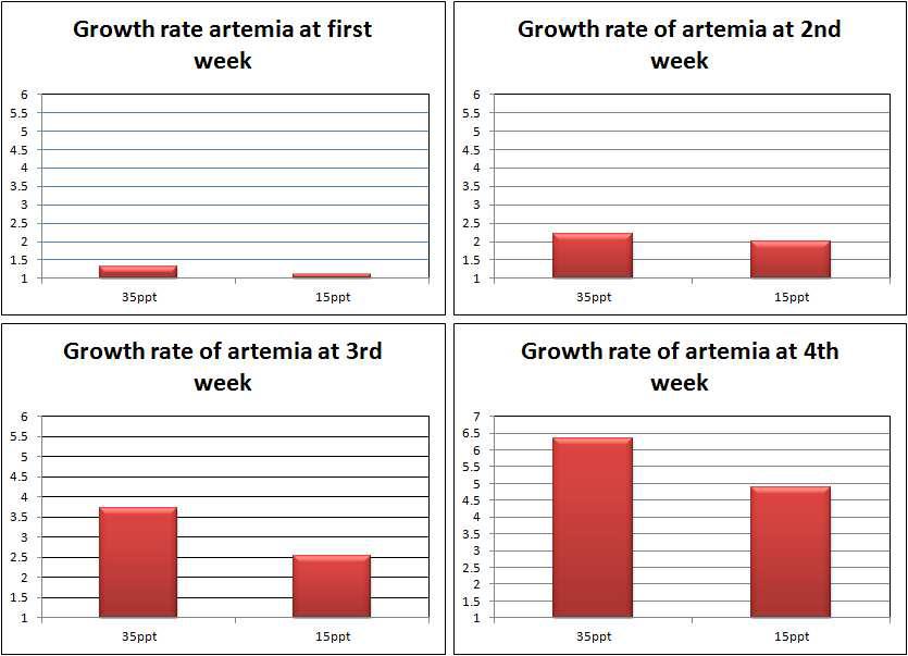 Fig. 2-3. 35 and 15ppt salinity, artemia의 성체까지 성장률 측정 실험. temperature 27℃ 유지