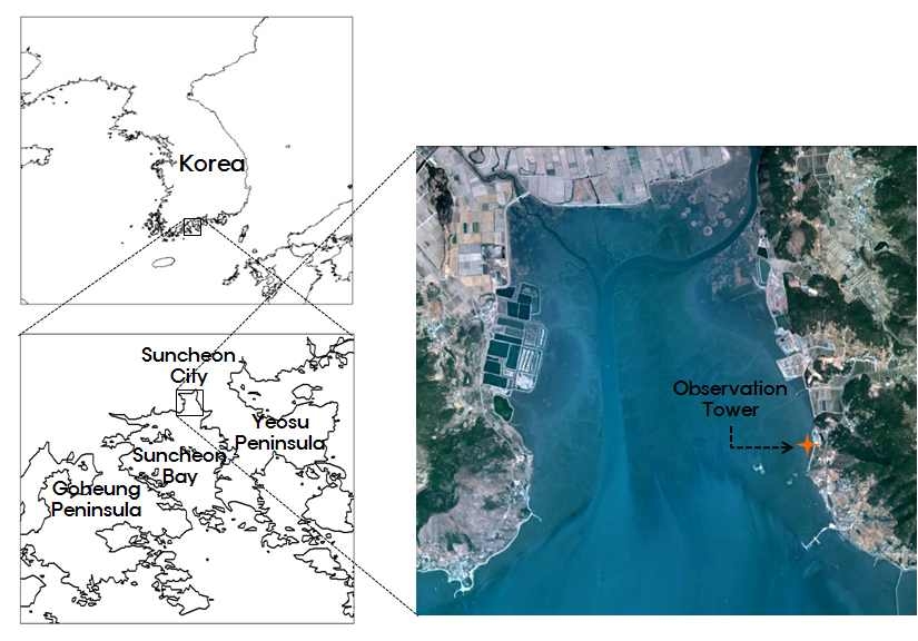 Fig. 1. Location of Suncheon bay in Korea and observation sites.