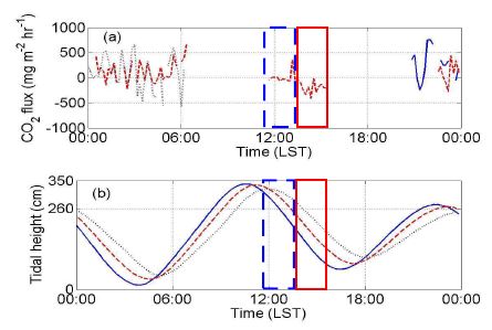 Fig. 36. Diurnal variations of (a) CO2 flux, and (b) tidal height on Nov. 5-7, 2009.