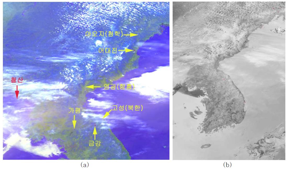 A satellite image showing extensive smoke (NOAA-12; Ch. 1, 2, 4); (b) Hotspots analysis at 1334 LST, April 11 2011.