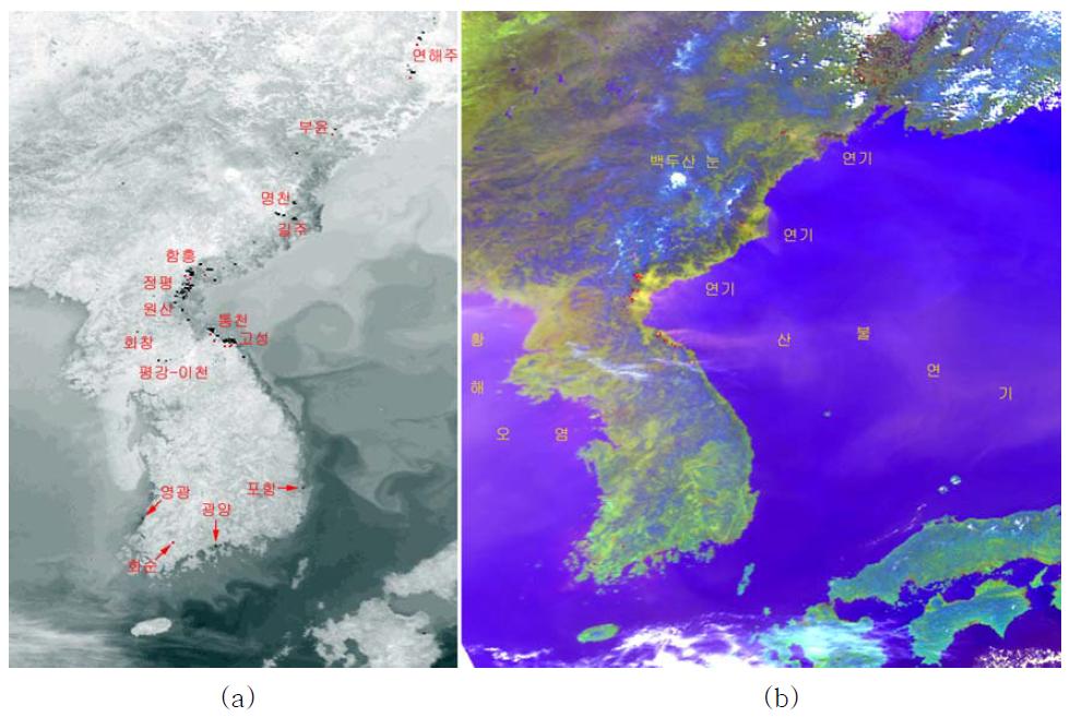 Hotspots analysis at 1241 LST, April 13 2011 (NOAA-12;Ch.3); (b) A satellite image showing extensive smoke at the same time (NOAA-12; Ch. 1, 2, 4).