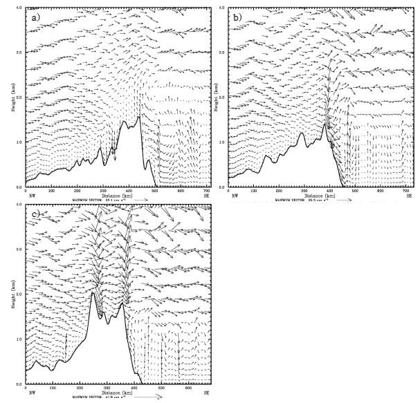 Fig. 3.1.16. The vertical cross-sections of v-w vector valid at 0900 LST 08 December 2002, following (a) path B, (b) path C, and (c) path D, respectively.