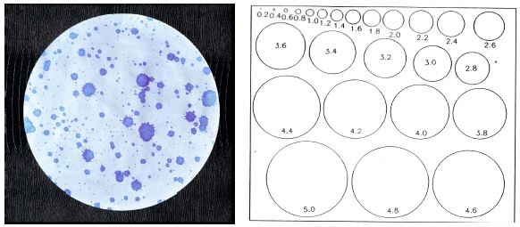 Fig. 3.1.6. The photograph of filter paper and a ruler for drop size measurement.