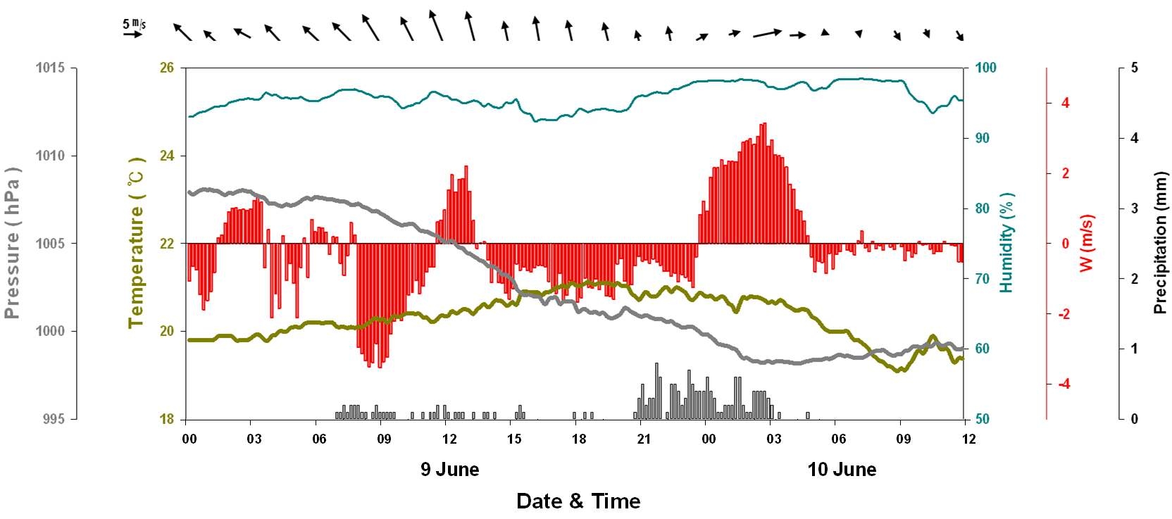 Fig. 3.1.21. Time series of pressure, wind direction, wind speed, vertical wind velocity, humidity, temperature, and rain rate at each channel from 0000 LST on 9 June to 1200 LST on 10 June 2009.