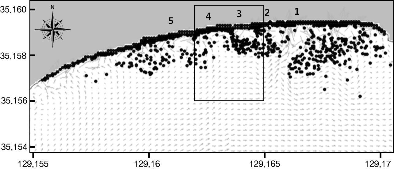 이안류에 의한 HAECUM의 튜브거동 수치모의 결과 (2009.8.15; Wave height:60cm, Wave period:10sec, Wave angle:180°)