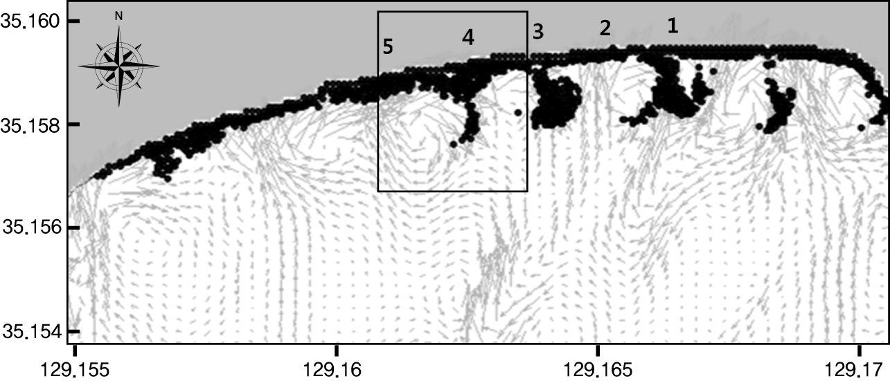 이안류에 의한 HAECUM의 튜브거동 수치모의 결과 (2010.7.29; Wave height:152cm, Wave period:11.8sec, Wave angle:197°)
