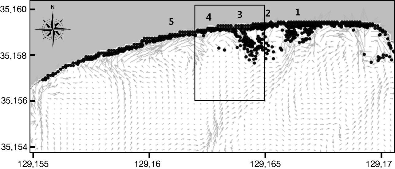 이안류에 의한 HAECUM의 튜브거동 수치모의 결과 (2010.7.30; Wave height:107cm, Wave period:10.9sec, Wave angle:195°)