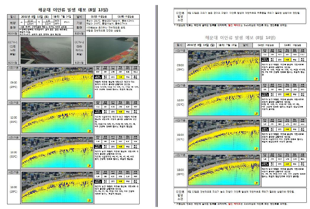 해운대 이안류 발생 예보 보고서의 예; 2011년 8월 13일자 보고서