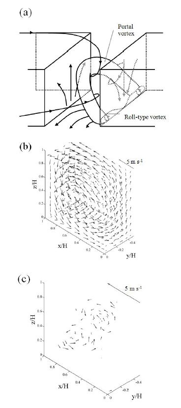 Figure 3.3.3. (a) Schematic of the mean flow circulation in a street canyon with street and building aspect ratios of one (from Kim and Baik, 2004) and three-dimensional wind vector fields in the no-heating case [(b) and (c)]. In (c), only a part of the wind vector field in (b) is drawn to clearly represent important mean flow features (portal vortex).