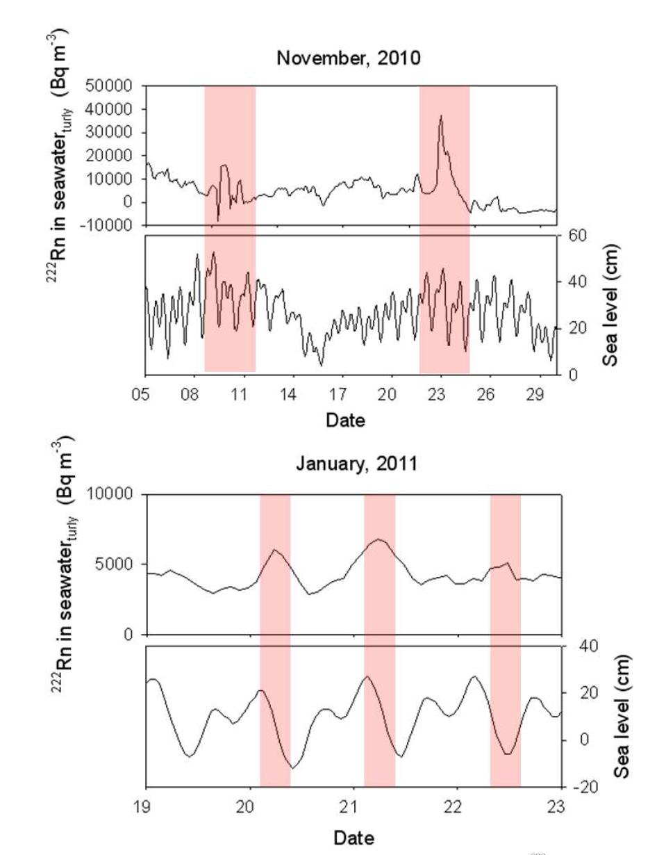 2010년 11월과 2011년 1월에 측정된 울진 연안 부근의 지하 해수 중 222Rn 농도와 조석 자료