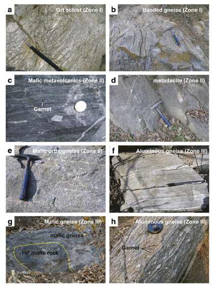 Outcrop photographs showing various metamorphic rocks from the Wolhyeonri complex in the Hongseong area: (a) garnet schist from Zone I, (b) deformed banded gneiss from Zone I, (c) mafic metavolcanics having well-sorted amphibole- (dark) and epidote-rich (green) layers from Zone II, (d) intrude-type metadacite from Zone II, (e) tonalitic orthogneiss xenoliths showing typical banded gneissic texture from Zone II, (f) deformed aluminous gneiss from Zone III, and (g) deformed mafic gneiss including high-pressure metabasite from Zone III.