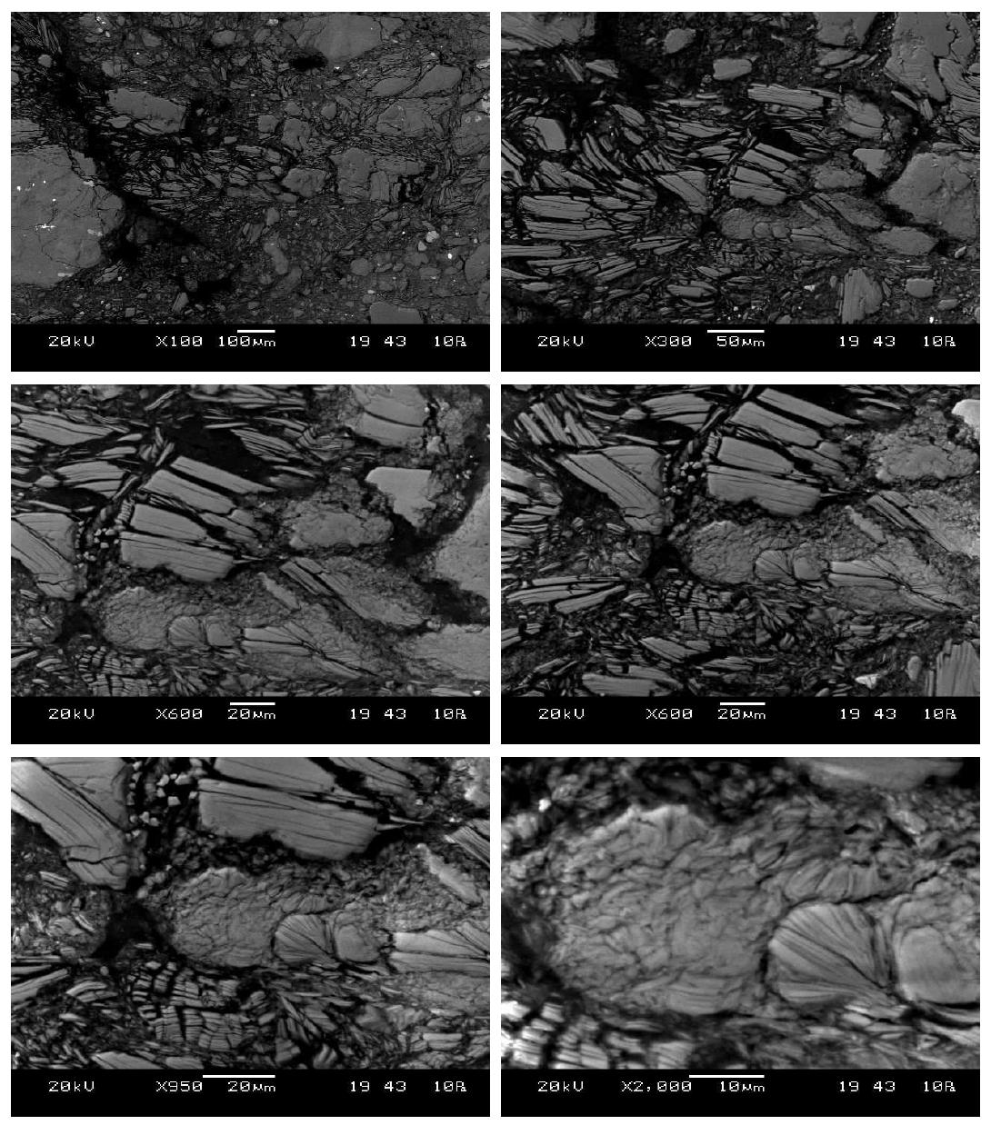 연천단층 Early dextral 단층(YC-4) 시료의 SEM-BEI 사진.