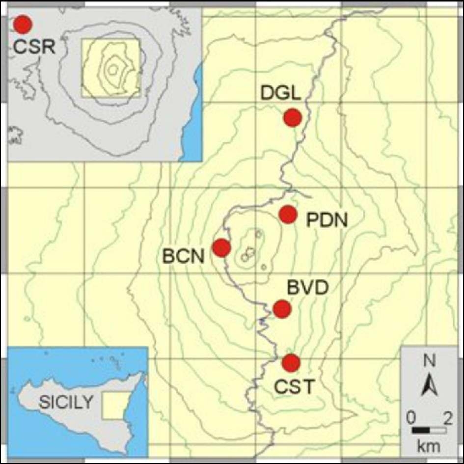 그림 I-2-6. 에트나화산의 자력측정 네트워크