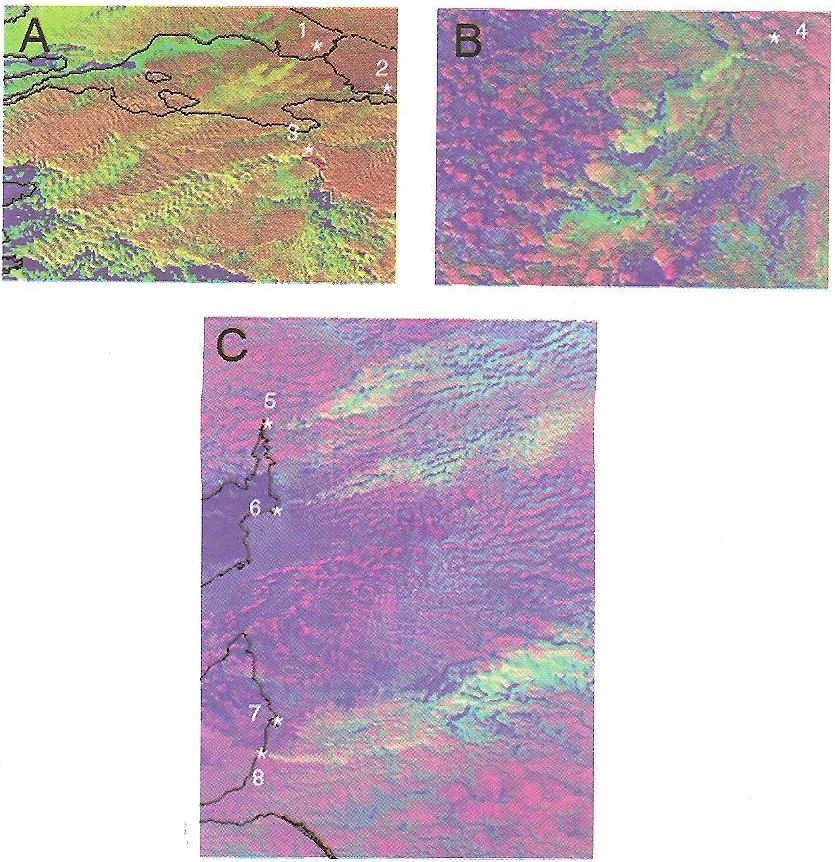 Fig. 12. Satellite visualization of NOAA AVHRR images, showing the microstructure of clouds for three different continents with streaks of visibly smaller drops due to ingestion of pollution originating from known pollution sources that are marked by white number asterisks.