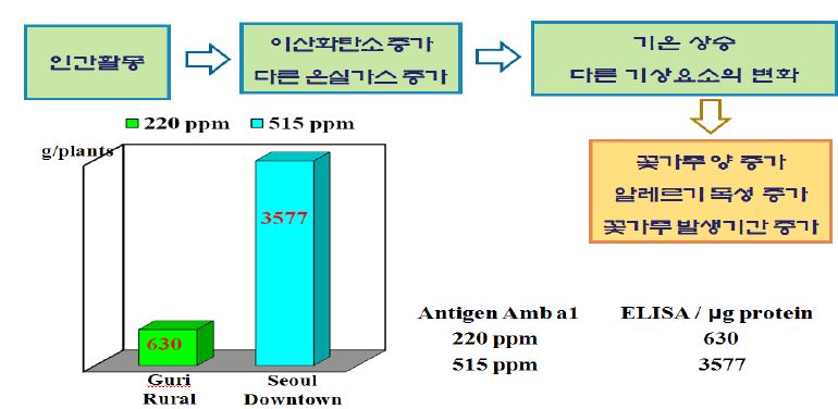 꽃가루 알레르기 위험도 정보를 평가하는 보건기후 정보시스템 운영흐름도