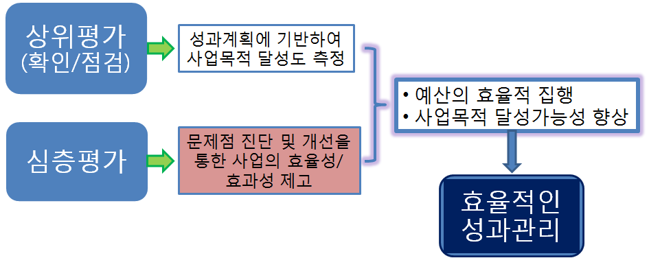 심층평가의 목적