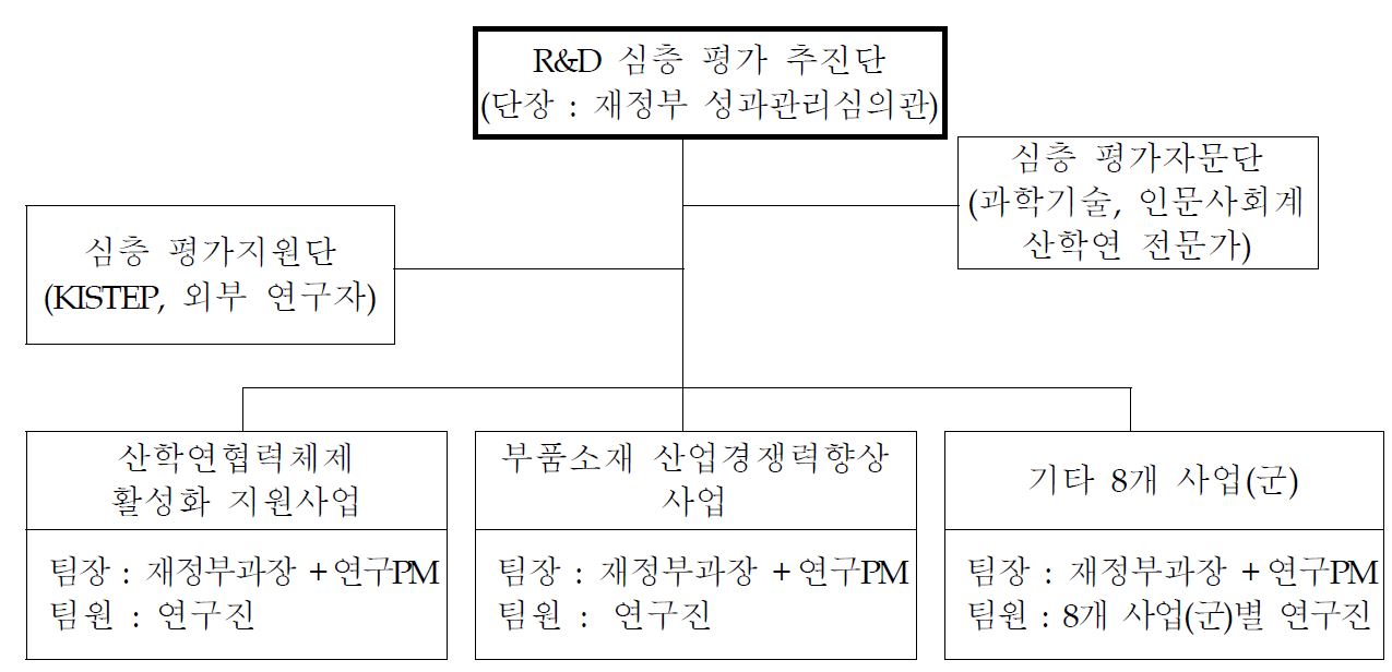 2009년도 심층평가 추진체계(예시)