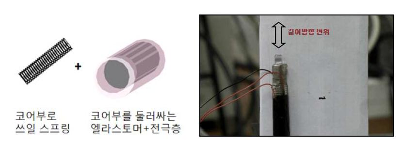 스프링을 이용한 원기둥형 DEA 구동기 개념도(좌) 및 제작된 구동기