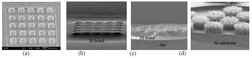 SEM images of the CNTs (a) Grown CNTs, (b) Filled with M-bond, (c) Released M-bond pelletby XeF2 (not planarized) and (d) CNTs after filler removal by O2 plasma (not planarized)