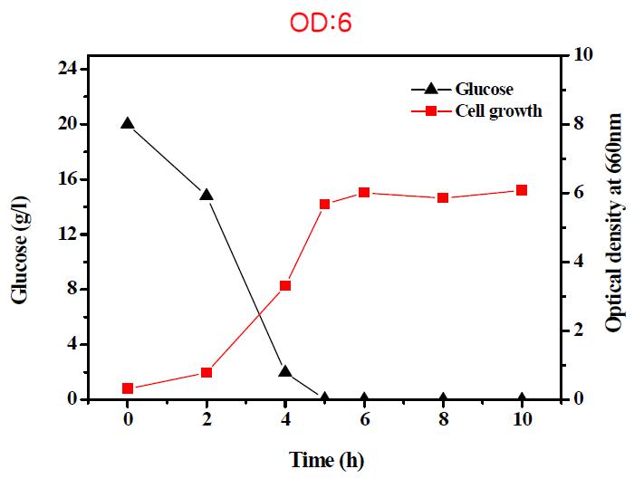 Cultivation profile of Leuconostoc citreum in optimized medium.