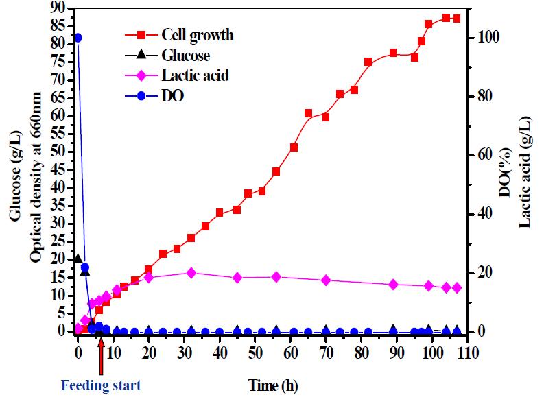 Cell retention culture of Leuconostoc citreum using internal filtration system