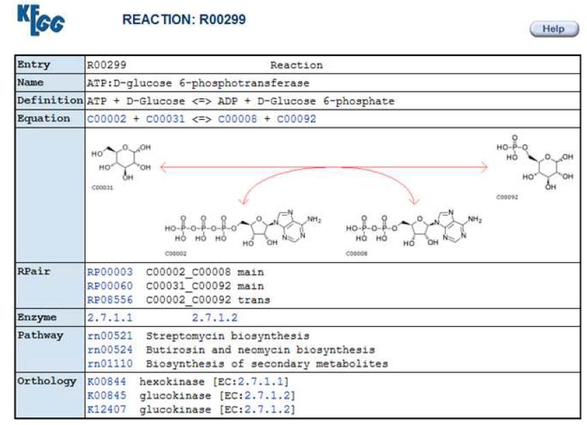 Reaction-enzyme associations.