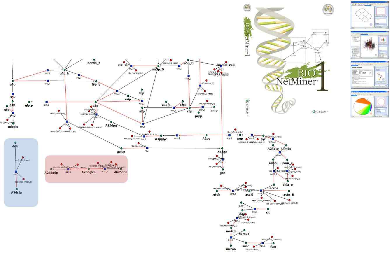 Visualization of glycolysis pathway