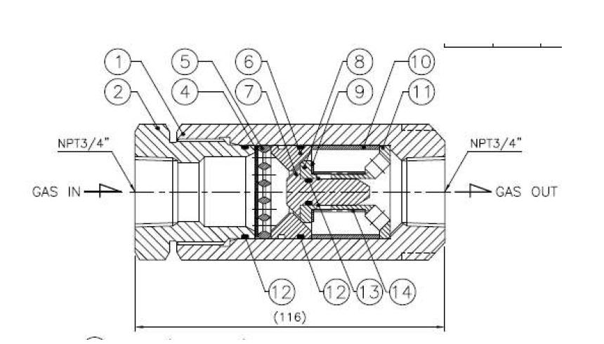 Sectional drawing of NRV