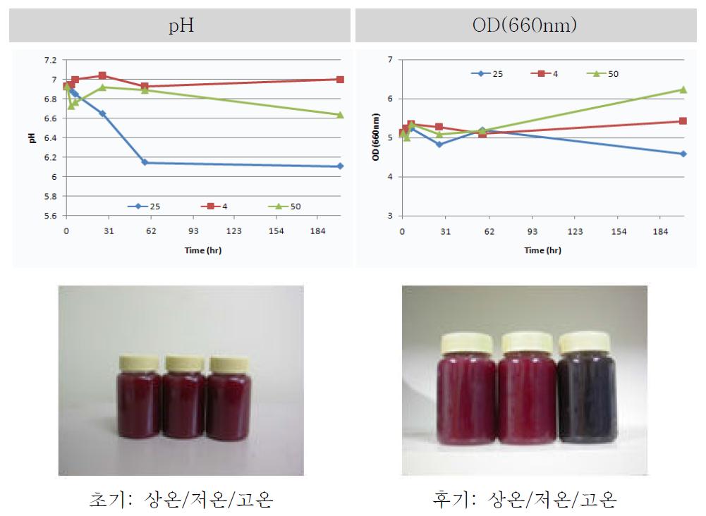 Lab-scale에서 배양한 3차 BL6 배양액의 내온성 시험