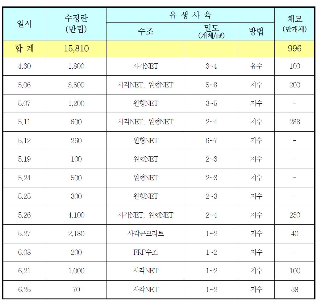 홍해삼 초기유생 사육결과