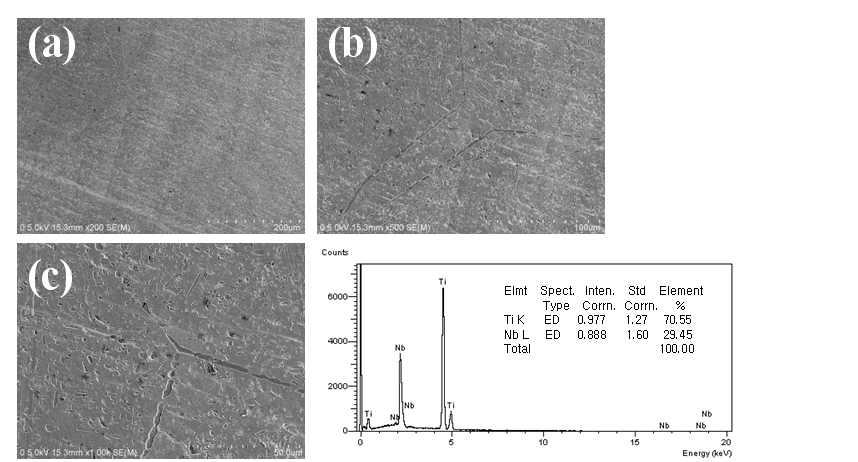 Ti-29Nb합금의 SEM사진과 EDS