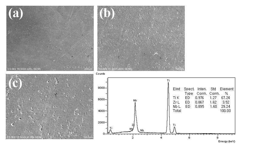 Ti-29Nb-3Zr합금의 SEM사진과 EDS