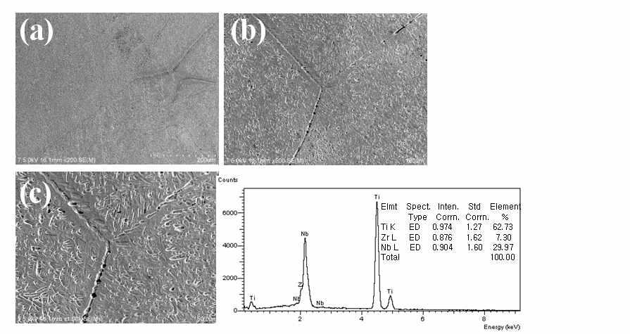 Ti-29Nb-7Zr합금의 SEM사진과 EDS