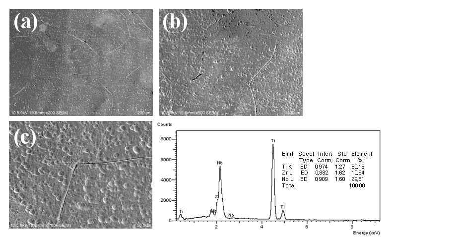 Ti-29Nb-10Zr합금의 SEM사진과 EDS