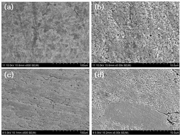 1.25 mm 와이어 가공된 Ti-29Nb-5Zr 합금의 가공 방향에 따른 미세조직: (a) x500 T section; (b) x5k T section; (c) x500 T section; (d) x5k L section