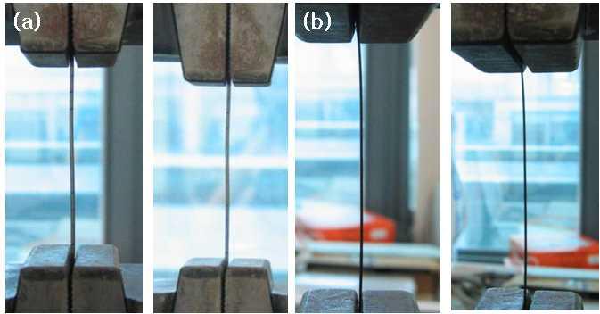 인장 및 loading-unloading 시험의 Ti-29Nb-5Zr 시편 장착 모습: (a) 1.25 mm; (b) 0.55 mm