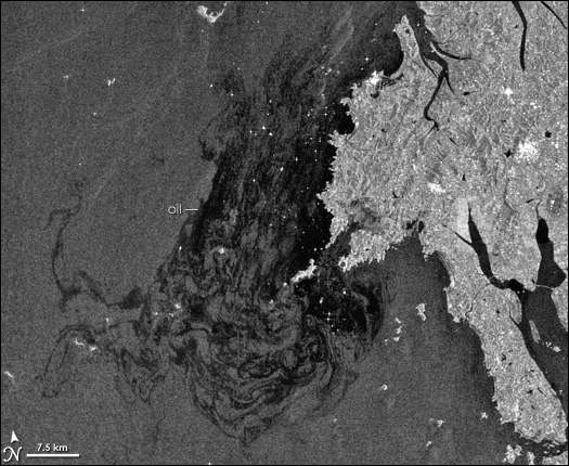 그림 4. 한국 태안 반도 근처 기름 유출 위성 사진