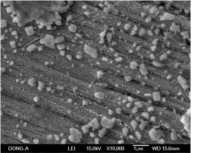 그림 1-2-21. 나노 콜로이드 금속/광촉매 Ag/TiO2 SEM 분석