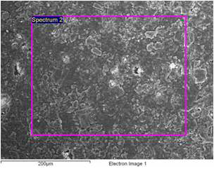 그림 1-3-19. 나노금속/광촉매가 처리되기 전 고효율 흡착제 SEM/EDS 분석 사진