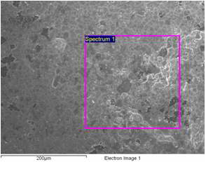 그림 1-3-20. 나노 광촉매(TiO2 -I)가 처리된 고효율 흡착제 SEM/EDS 분석 사진