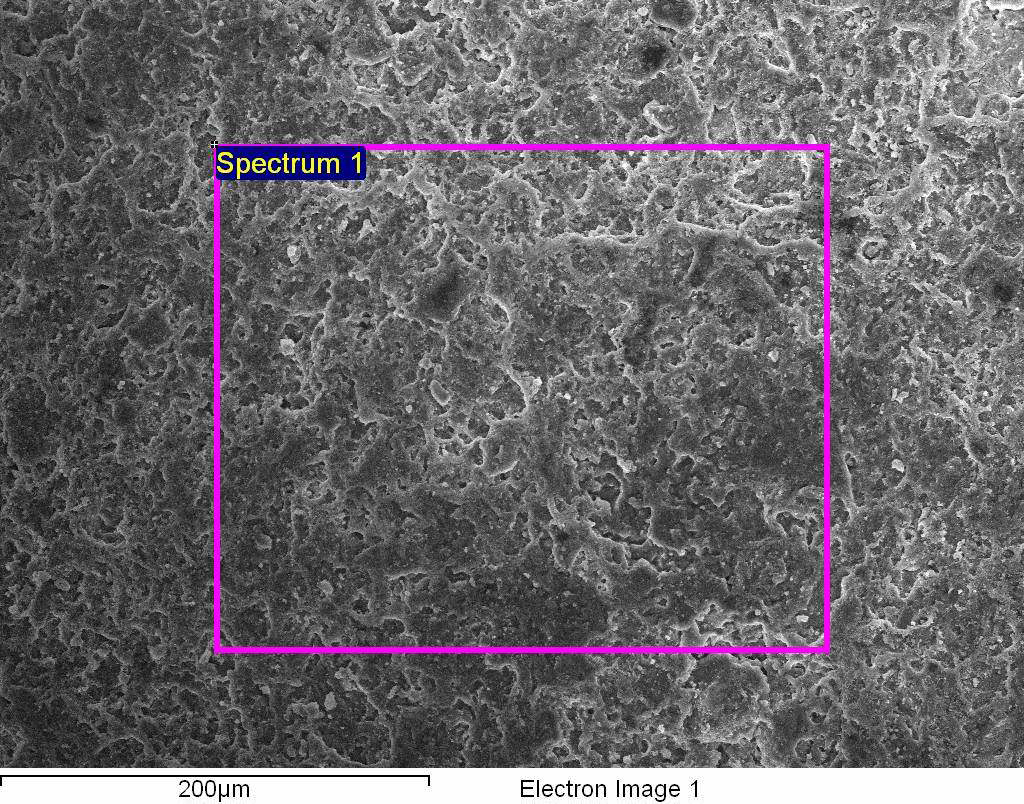 그림 1-3-21. 나노 광촉매(TiO2-II)가 처리된 고효율 흡착제 SEM/EDS 분석 사진