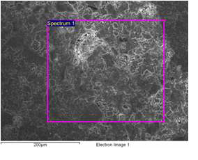 그림 1-3-22. 나노금속/광촉매(Ag/TiO2)가 처리된 고효율 흡착제 SEM/EDS 분석 사진
