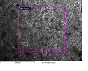 그림 1-3-23. 나노금속/광촉매(Cu/TiO2)가 처리된 고효율 흡착제 SEM/EDS 분석 사진