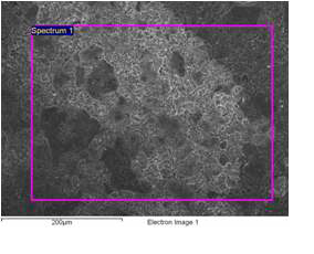 그림 1-3-24. 나노금속/광촉매(Fe/TiO2)가 처리된 고효율 흡착제 SEM/EDS 분석 사진