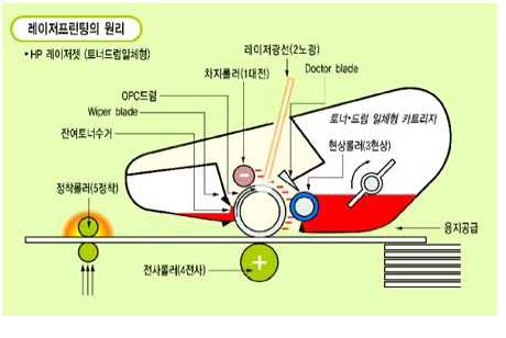 그림 3. 레이저 프린팅의 원리 모식도