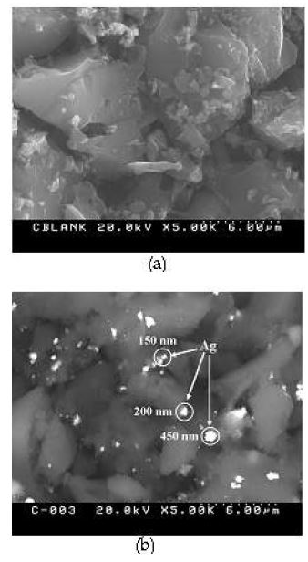 그림 32. 순수한 활성탄 (a)와 은이 첨착된 활성탄 (b)의 SEM 사진