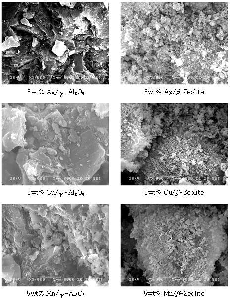 다양한 촉매의 SEM 사진
