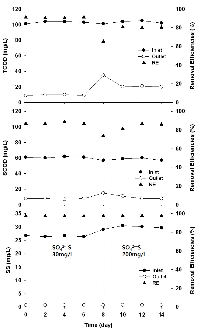 그림 3-78. 1대2 압축 담체 반응기 sulfate 유입농도에 따른 유기물 및 고형물 농도변화