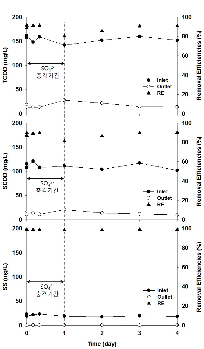 그림 3-96. 배출수 처리 파일럿 시스템 충격부하에 따른 유기물 및 고형물 농도변화